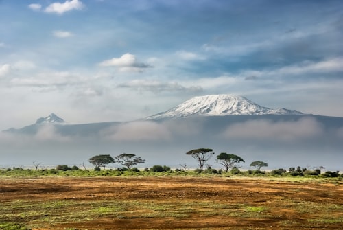 Kenya market